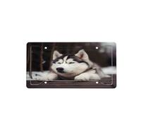 Cute Husky Dog -Print Four-Hole License Plate Holder With Custom Designs - Weather Resistant & Easy Fit For Front/Rear Vehicles