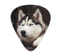 Cute Husky Dog Print Guitar Picks 12-Pack - Assorted Thickness Picks (0.46mm, 0.71mm, 0.96mm) with Storage Box & Assorted Unique Design for Acoustic, Electric, Bass, and Ukulele Players