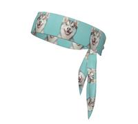 Cute Husky Sweat-Absorbing Sports Headband, Unisex Sports Headband, Suitable for Outdoor Travel and Various Sports.