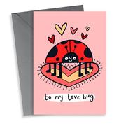 Cute Illustrated Ladybird Lovebug Ladybug Valentine's Card