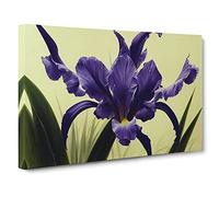 Cute Iris Flowers Canvas Print | Gallery Wrapped 30mm Frame Wall Art | 30x20 inches | Ready to Hang | Contemporary Floral Picture | Living Room Bedroom Lounge Office