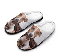 Cute Jack Russell Terrier Dogs Men's House Slippers Indoor Outdoor Slip On Shoes with Rubber Sole 7-8(40-41)