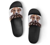Cute Jack Russell Terrier Dogs Women's House Slippers for Men Shower Slides Bathroom Shoes Sandals 38 (240mm)