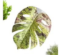 Cute Jumping Spider, Simulated Pet Play, 4.33×3.93×0.39 Inch Leaf, Portable Spider Perch with Stable Hold, Terrarium Decor Pad with Natural Look, Indoor Habitat for Greenhouse Plants