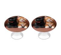 Cute Kitten Black and Orange Cat Kitchen Cabinet Knobs 2 Pack Modern Style Drawer Dresser Knob Pulls Round Drawer Knobs for Home Office Kitchen