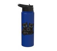 Cute Kitten Blue Eyes Three Cat Black Cats Stainless Steel Insulated Water Bottle