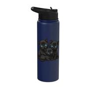 Cute Kitten Blue Eyes Three Cat Black Cats Stainless Steel Insulated Water Bottle
