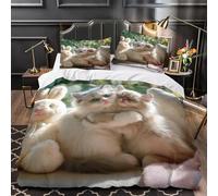 Cute Kitten King Size Duvet Cover Set Pet Bedding Double Bed Set 3D Print Soft Comfort Microfiber Quilt Cover 220x230 cm with Zipper Closure and 2 Pillowcases j.2086