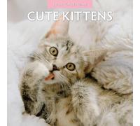 Cute Kittens - 2026 Square Wall Calendar - by Red Robin Publishing
