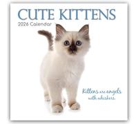 Cute Kittens Calendar 2026 Calendar 16 Month Family Square Wall 2026 UK | Planner with Large Grid for Home or Office Organisation