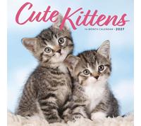 Cute Kittens Calendar 2027, Wall Calendars, Month To View, Cats, Gift
