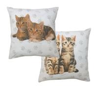 Cute Kittens Ollie Billy Pack Of 2 Cushion Covers, Rachael Hale Paw Print Meow Cat Duo
