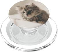Cute Kitty Cat Kitten Collapsible Pop Out Mount PopSockets PopGrip for MagSafe