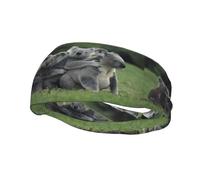 Cute Koala bear Sweat-wicking sports headband, stylish tennis headband, perfect for running, basketball, yoga, and fitness.