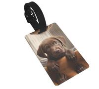 Cute Labrador Dog 1 Printed Backpack ID Labels Versatile Suitcase Tags for Golf Bags and Musical Instrument