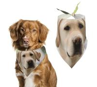 Cute Labrador Dog Dog Bandana Triangle Dog Scarf Washable Polyester Dog Bibs Cute Pet Bandana for Medium Large Dogs Puppy and Cats