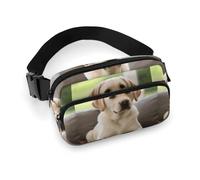 Cute Labrador Dog Fanny Pack for Women Men Adjustable Waist Bag Belt Bag for Travel Sports Hiking, style, 20x13cm