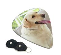 Cute Labrador Dog Guitar Picks 6-Pack - Pick Set (0.46mm / 0.71mm / 0.96mm) Suitable For Guitar And Ukulele Playing