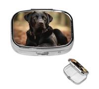 Cute Labrador Dog Pill Box 2 Compartments Square Pill Box Handbag Pocket Pill Box Portable Travel Metal Medicine Vitamin Fish Oil Gift