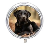 Cute Labrador Dog Pill Case Metal Round Portable Pill Box,Waterproof Travel Pills Organizer Vitamins Medicine Storage Box for Travel Or Daily