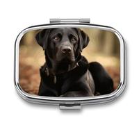 Cute Labrador Dog Pill Organizer Small Pill Box with Two Compartments Pill Case Metal Medicine Organizer Portable Medicine Box Holder Medication Holder Travel Pill Container