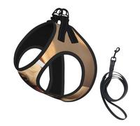 Cute Labrador Dog Print Dog Harness with Leash Set with Thickened Padded Vest for Extra-Small/Small Medium Dogs