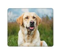 Cute Labrador Dog Print Mouse Pad 10 x 12 inch, Anti Slip Rubber Base Computer Mouse pad for Computers Laptop Office Desk Accessories