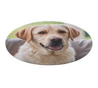 Cute Labrador Dog Round Area Rug Non Slip Backing Doormat Water Absorbent Plush Throw Low-Pile Non-Slip Floor Mat Carpet for Living Room Bedroom Entryway Nursery Room 80 * 80cm