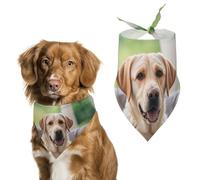 Cute Labrador DogPet Scarf Dog Bandana for Small Medium Large Exquisite Unique Cat Dogs Kerchief Premium Fabric Cute Triangle Cat Dogs Bibs Scarf