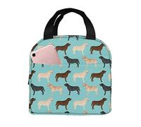 Cute Labradors Yellow Chocolate Black Lab Pet Dogs Lunch Bag, Reusable Cute Lunch Box Insulated Cooler Tote Bag Multi-Functional School Lunch Container for Teen Boys Girls