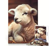Cute Lamb in Hay 1000 Pieces Puzzles for Teenagers Unwind Game Real Thick Enjoyable Challenge Christmas Idea (38x52cm)