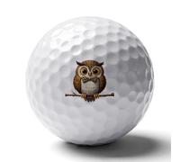 Cute Leopard Pattern Owl Personalized Golf Balls Distance Practice Ball for Indoor Outdoor