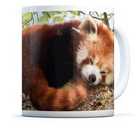 Cute Lesser Red Panda - Drinks Mug Cup Kitchen Birthday Office Fun #14217