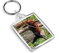 Cute Lesser Red Panda Keyring Animal Tree Bear Endangered Keyring #14154