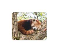 Cute Lesser Red Panda Mouse Mat Pad - Animal Tree Bear Kids Computer #14217