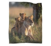 Cute Lion Cubs Playing And Frolicking on The Back of Their Lioness Printed Blanket 3D Design Bedspread Soft Warm Microfiber Throws And Patchwork Quilts 70x80inch(180x200cm)