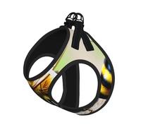 Cute Little bee Print Soft Pet Harness and Leash Set, Adjustable Mesh Puppy Vest Harness for Small Large Large Dogs and Cats