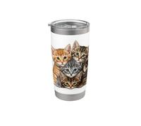 Cute Little Cats Playing Build Wall for Lovers Kitty Kittens Stainless Steel Insulated Tumbler