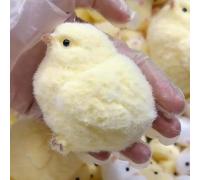 Cute Little Chick Squeeze Fun Toy | Squishy Chicken Fidget Toy | Handmade Squishy Chick Stress Squeeze Toy | Silicone Sensory Fidget Toys | Squeeze Toy For Adults Kids Stress Relief