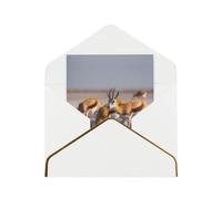 Cute Little Deer Elegant Greeting Card - Premium Pearl Paper Foldable Card With Gold Trim, Blank Inside For Personal Message - Perfect For Christmas, Birthday, Wedding & Valentine’s Day