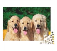 Cute Little Dog 1000 Piece Jigsaw Puzzles for Adults Dog Festive Gifts Family Challenging Educational Challenge Home Decoration for Adults Gifts Ideas 1000pcs (75x50cm)