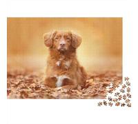 Cute Little Dog 1000 Piece Jigsaw Puzzles for Adults Dog Jigsaws Challenging Game Family Challenging Educational Games Home Decoration for Adults Gifts Ideas 1000pcs (75x50cm)