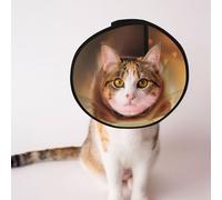 Cute Little Dog Dog Cone Collar - Protective Collar for Dogs and Cats, Comfortable Pet Recovery CollarFor Large and Medium-Sized Puppies