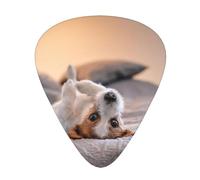 Cute Little Dog Jack Russell Terrier,12 Pcs Guitar Pick,3 Different Thickness Plectrums for Acoustic Guitar Bass Ukulele (0.46mm 0.96mm 0.71mm)