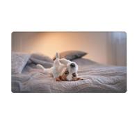 Cute Little Dog Jack Russell Terrier,Mouse Pad Large Desk Pad Computer Keyboard Mouse Mat with Non Slip Rubber Base 40 x 70 cm