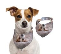 Cute Little Dog Jack Russell Terrier,Pet Bib Scarf Cats Dog Bandana Dogs Towel Bib Adjustable Pet Scarf,S