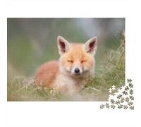Cute Little Fox 1000 Piece Jigsaw Puzzles for Adults Fox Jigsaws Challenging Game Family Challenging Educational Games Home Decoration for Home Decoration Gifts 1000pcs (75x50cm)