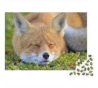 Cute Little Fox 1000 Pieces Jigsaw Puzzles for Adults Fox Festive Gifts Family Challenging Educational Challenge Home Decoration for Home Decoration Gifts 1000pcs (75x50cm)