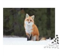 Cute Little Fox 1000 Pieces Jigsaw Puzzles for Adults Fox Jigsaws Challenging Game Family Challenging Educational Challenge Home Decoration for Adults And Kids Age 12 Years Up 1000pcs (75x50cm)