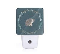 Cute Little Hedgehog Printed Led Night Light Plug in Wall with Dusk to Dawn Sensor Plug in Night Light for Hallway,Bathroom,Bedroom,Kitchen,Stairs,Acrylic Energy Efficient Night Lamp